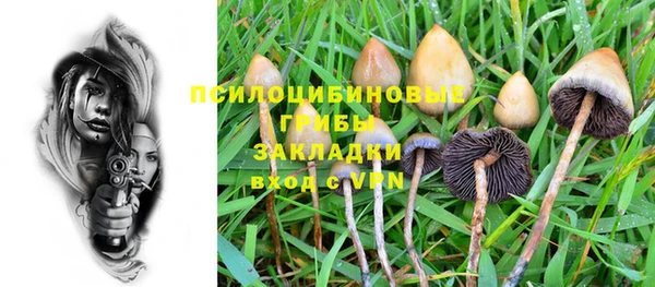 не бодяженный Баксан